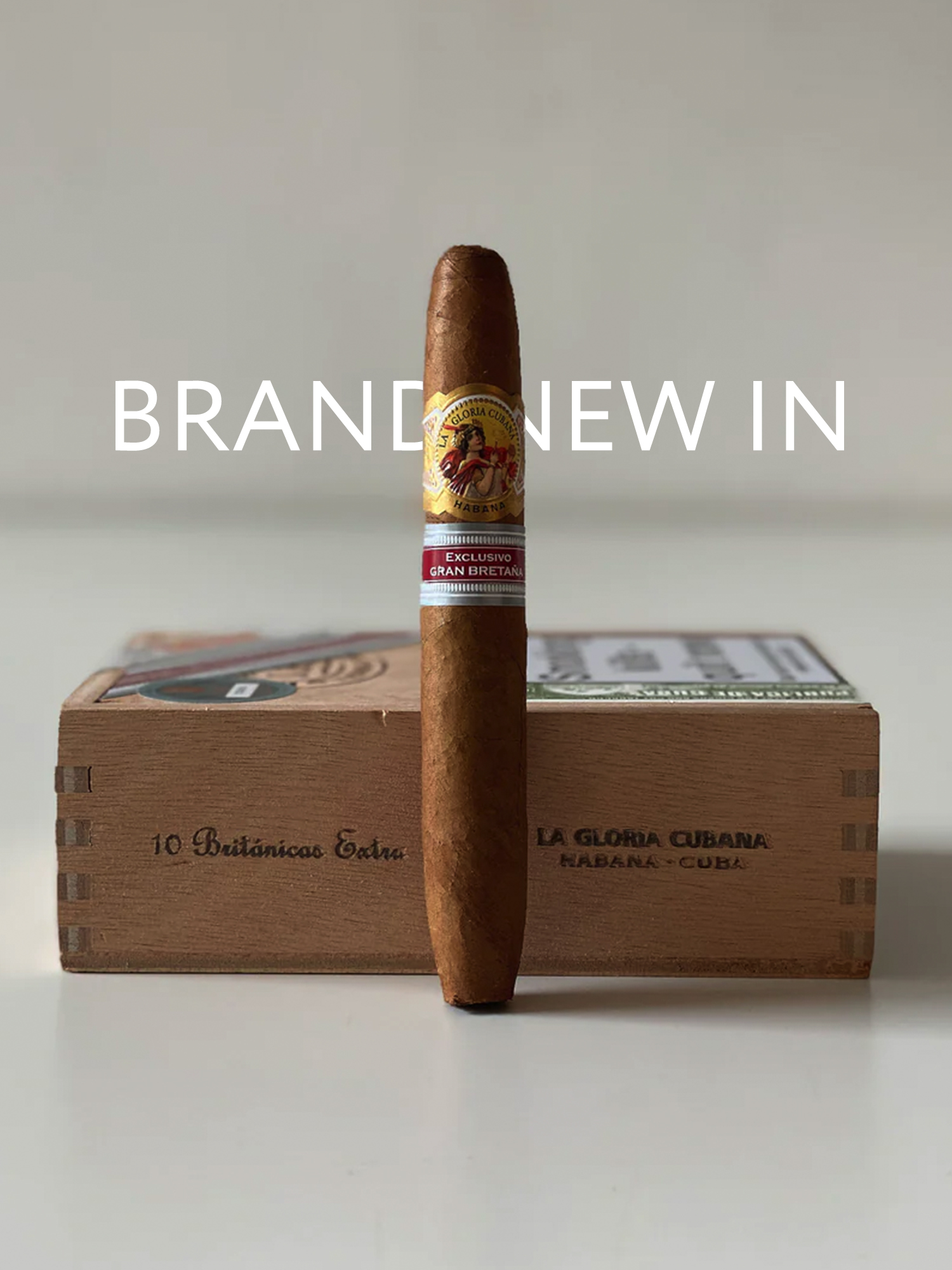 Cohiba Medio Siglo Cigar - Cuban Cigars For Sale Online – EGM Cigars